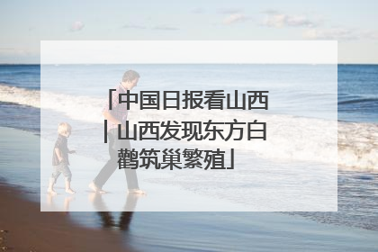 中国日报看山西｜山西发现东方白鹳筑巢繁殖