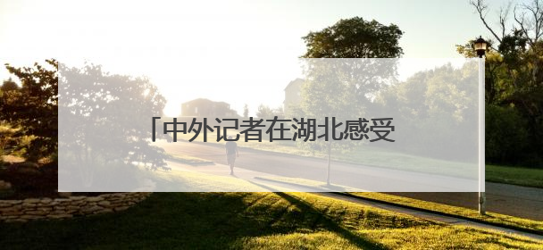 中外记者在湖北感受科技创新澎湃动力