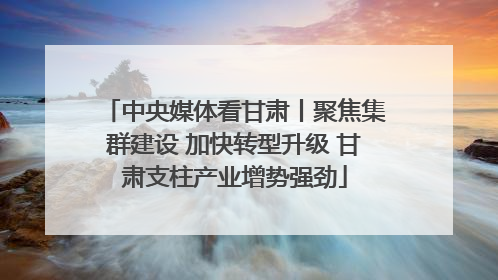中央媒体看甘肃丨聚焦集群建设 加快转型升级 甘肃支柱产业增势强劲