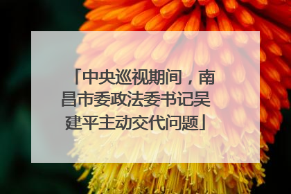 中央巡视期间，南昌市委政法委书记吴建平主动交代问题
