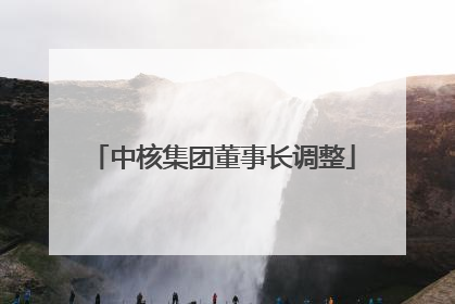 中核集团董事长调整