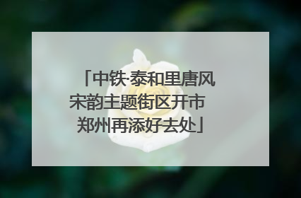 中铁·泰和里唐风宋韵主题街区开市 郑州再添好去处