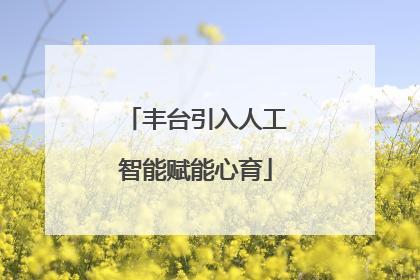 丰台引入人工智能赋能心育