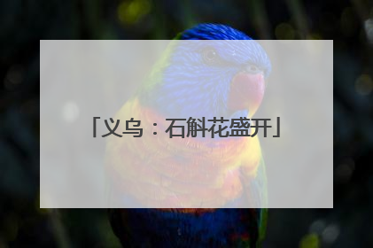 义乌：石斛花盛开