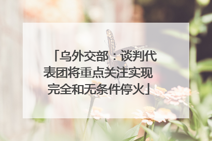 乌外交部：谈判代表团将重点关注实现完全和无条件停火