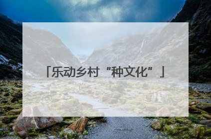 乐动乡村“种文化”