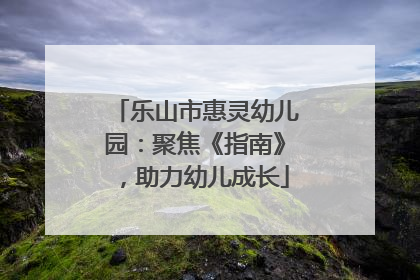 乐山市惠灵幼儿园：聚焦《指南》，助力幼儿成长