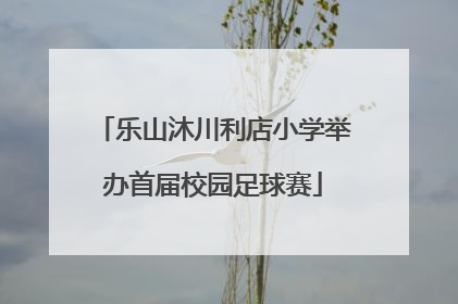 乐山沐川利店小学举办首届校园足球赛