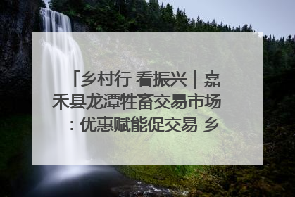 乡村行 看振兴｜嘉禾县龙潭牲畜交易市场：优惠赋能促交易 乡村振兴添动能