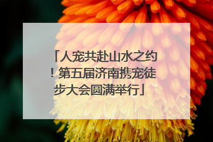 人宠共赴山水之约！第五届济南携宠徒步大会圆满举行
