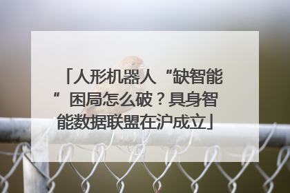人形机器人“缺智能”困局怎么破？具身智能数据联盟在沪成立