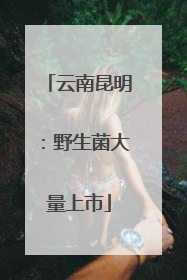云南昆明：野生菌大量上市