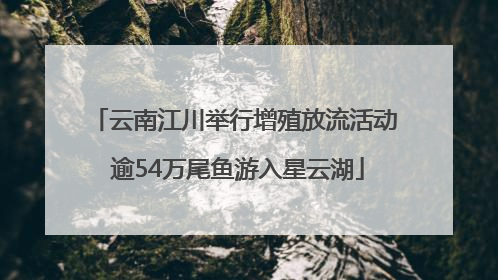 云南江川举行增殖放流活动 逾54万尾鱼游入星云湖
