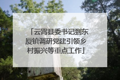云霄县委书记到东厦镇调研党建引领乡村振兴等重点工作