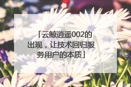云鲸逍遥002的出现，让技术回归服务用户的本质
