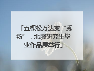 五棵松万达变“秀场”，北服研究生毕业作品展举行