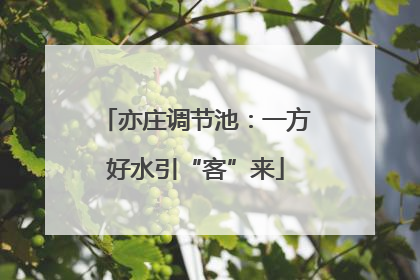 亦庄调节池：一方好水引“客”来