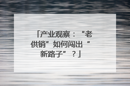 产业观察：“老供销”如何闯出“新路子”？