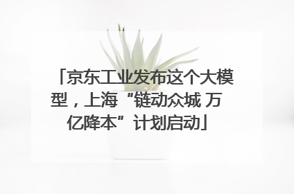 京东工业发布这个大模型，上海“链动众城 万亿降本”计划启动
