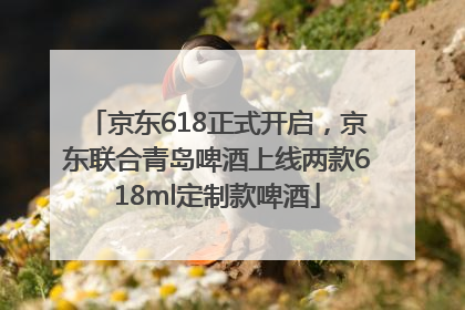 京东618正式开启，京东联合青岛啤酒上线两款618ml定制款啤酒