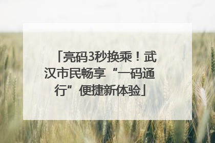 亮码3秒换乘！武汉市民畅享“一码通行”便捷新体验