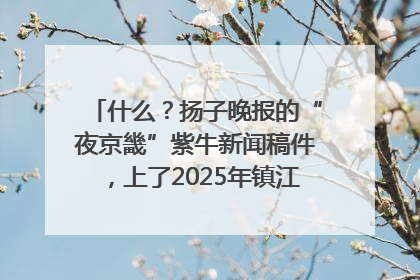 什么？扬子晚报的“夜京畿”紫牛新闻稿件，上了2025年镇江中考模拟卷！