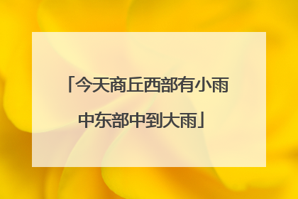 今天商丘西部有小雨 中东部中到大雨