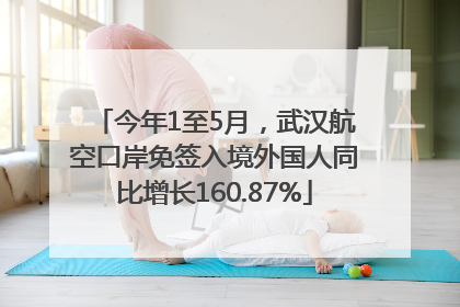 今年1至5月，武汉航空口岸免签入境外国人同比增长160.87%