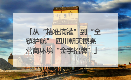 从“精准滴灌”到“全链护航” 四川朝天擦亮营商环境“金字招牌”