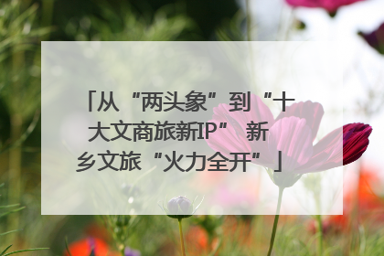 从“两头象”到“十大文商旅新IP” 新乡文旅“火力全开”