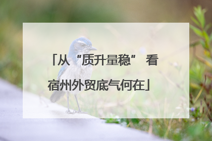 从“质升量稳” 看宿州外贸底气何在