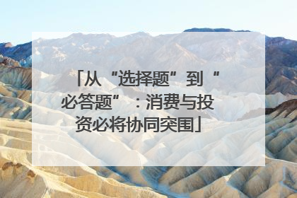 从“选择题”到“必答题”：消费与投资必将协同突围
