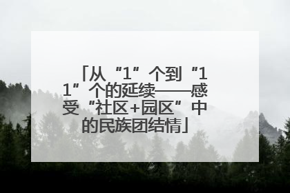 从“1”个到“11”个的延续——感受“社区+园区”中的民族团结情