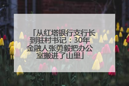 从红塔银行支行长到驻村书记：30年金融人张勇毅把办公室搬进了山里