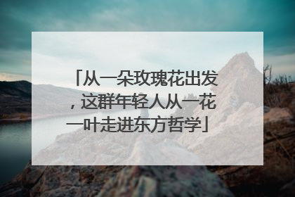 从一朵玫瑰花出发，这群年轻人从一花一叶走进东方哲学