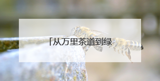 从万里茶道到绿满山乡 安化黑茶的生态致富路