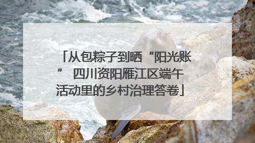 从包粽子到晒“阳光账” 四川资阳雁江区端午活动里的乡村治理答卷