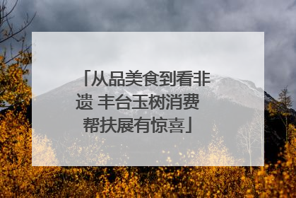 从品美食到看非遗 丰台玉树消费帮扶展有惊喜