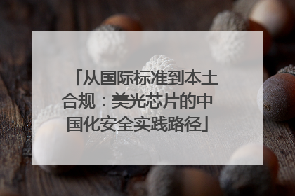 从国际标准到本土合规：美光芯片的中国化安全实践路径