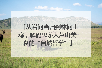 从岩间当归到林间土鸡，解码思茅大芦山美食的“自然哲学”