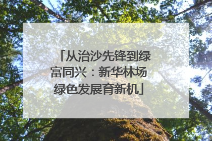 从治沙先锋到绿富同兴：新华林场绿色发展育新机