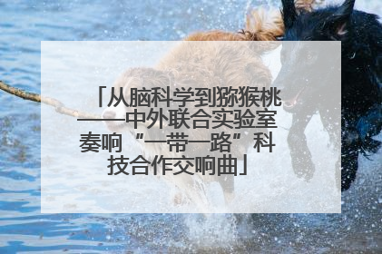 从脑科学到猕猴桃——中外联合实验室奏响“一带一路”科技合作交响曲