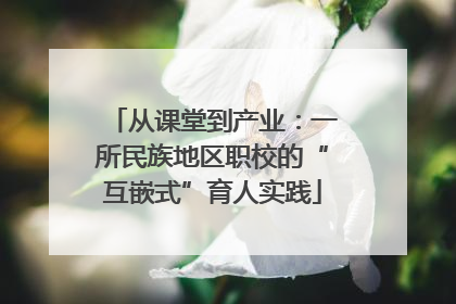 从课堂到产业：一所民族地区职校的“互嵌式”育人实践