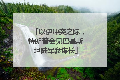以伊冲突之际，特朗普会见巴基斯坦陆军参谋长