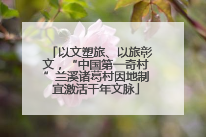 以文塑旅、以旅彰文，“中国第一奇村”兰溪诸葛村因地制宜激活千年文脉