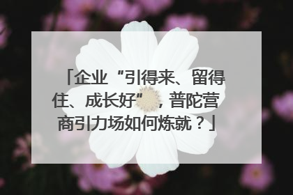 企业“引得来、留得住、成长好”，普陀营商引力场如何炼就？