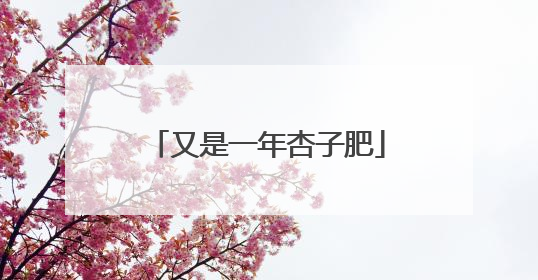 又是一年杏子肥