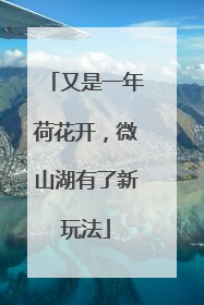 又是一年荷花开，微山湖有了新玩法