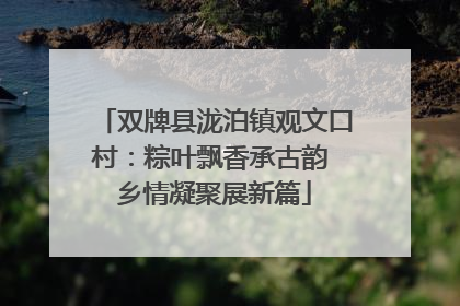 双牌县泷泊镇观文口村：粽叶飘香承古韵 乡情凝聚展新篇