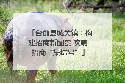 台前县城关镇：构建招商新图景 吹响招商“集结号”